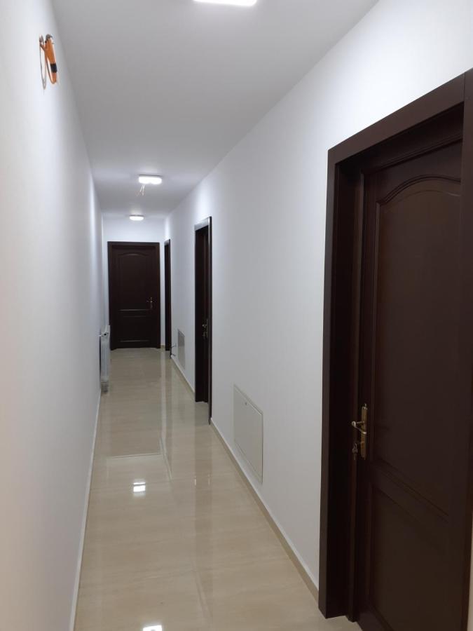 Pensiunea Stefania Lacu Roșu Exterior foto