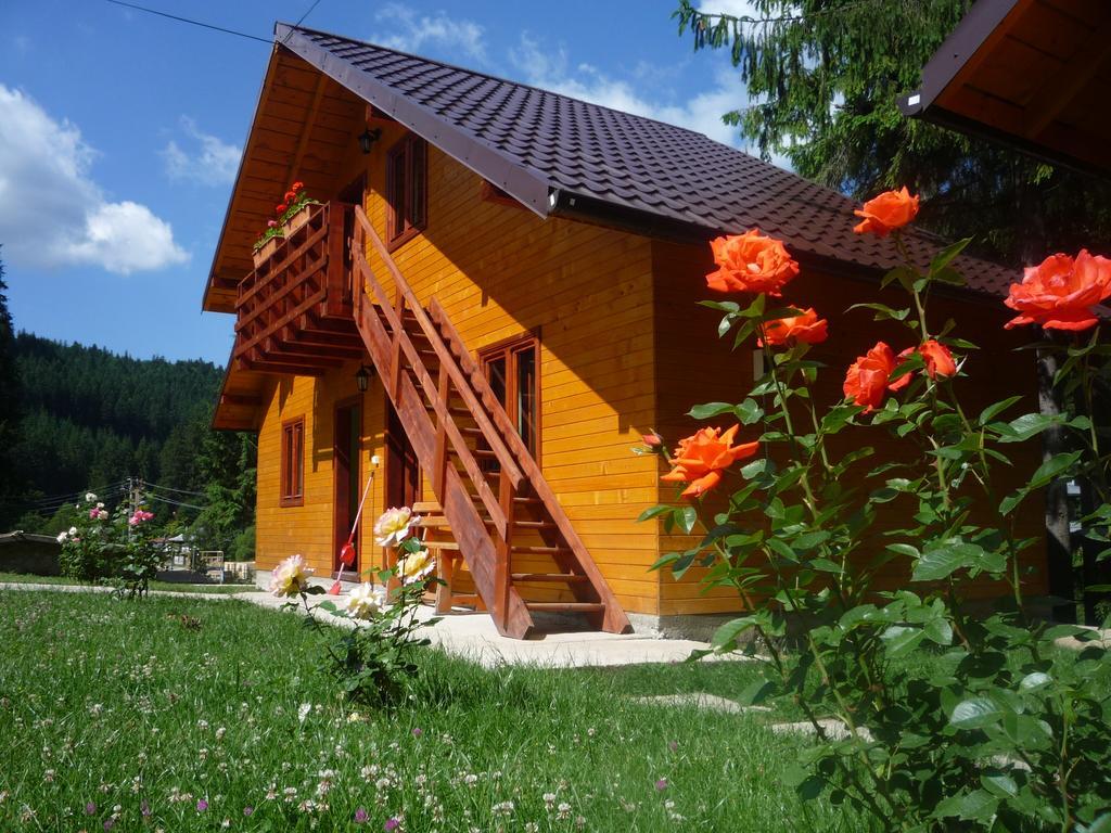 Pensiunea Stefania Lacu Roșu Exterior foto