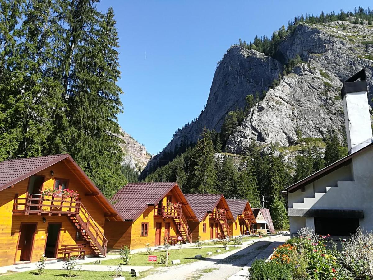 Pensiunea Stefania Lacu Roșu Exterior foto